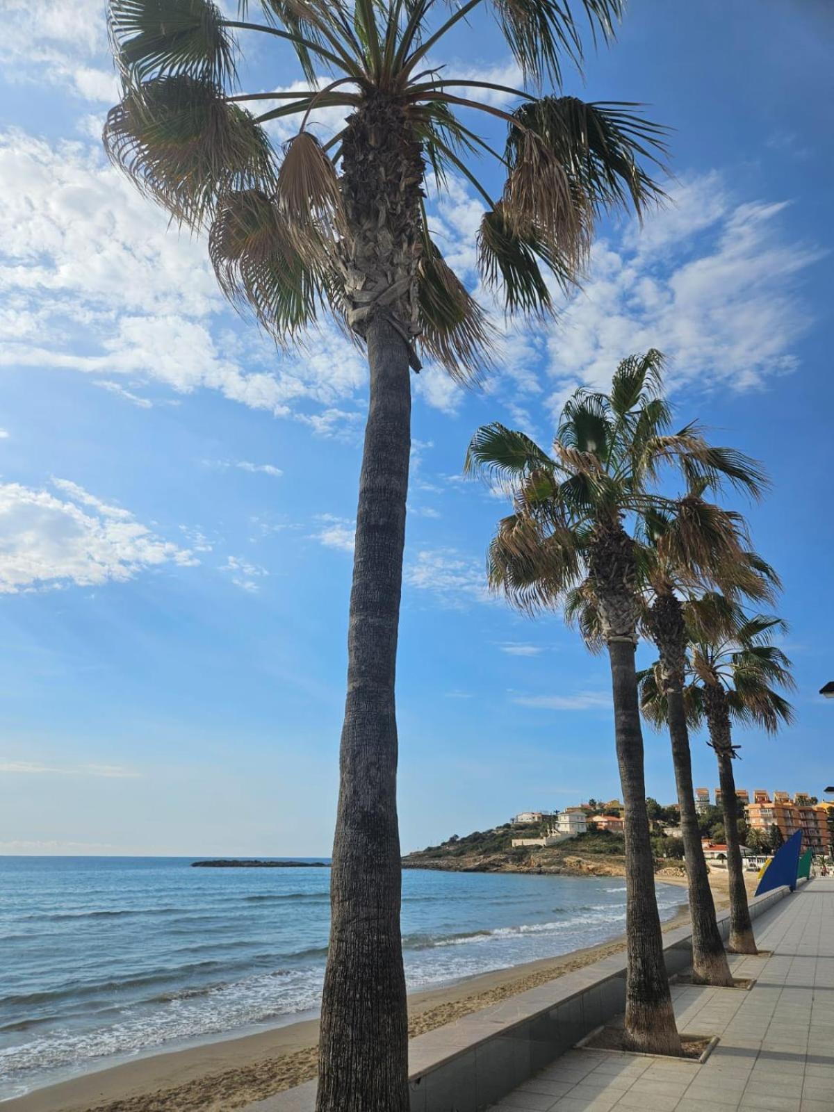 Mondrian Magic World - Sea View First Line Of The Beach Oropesa del Mar Dış mekan fotoğraf