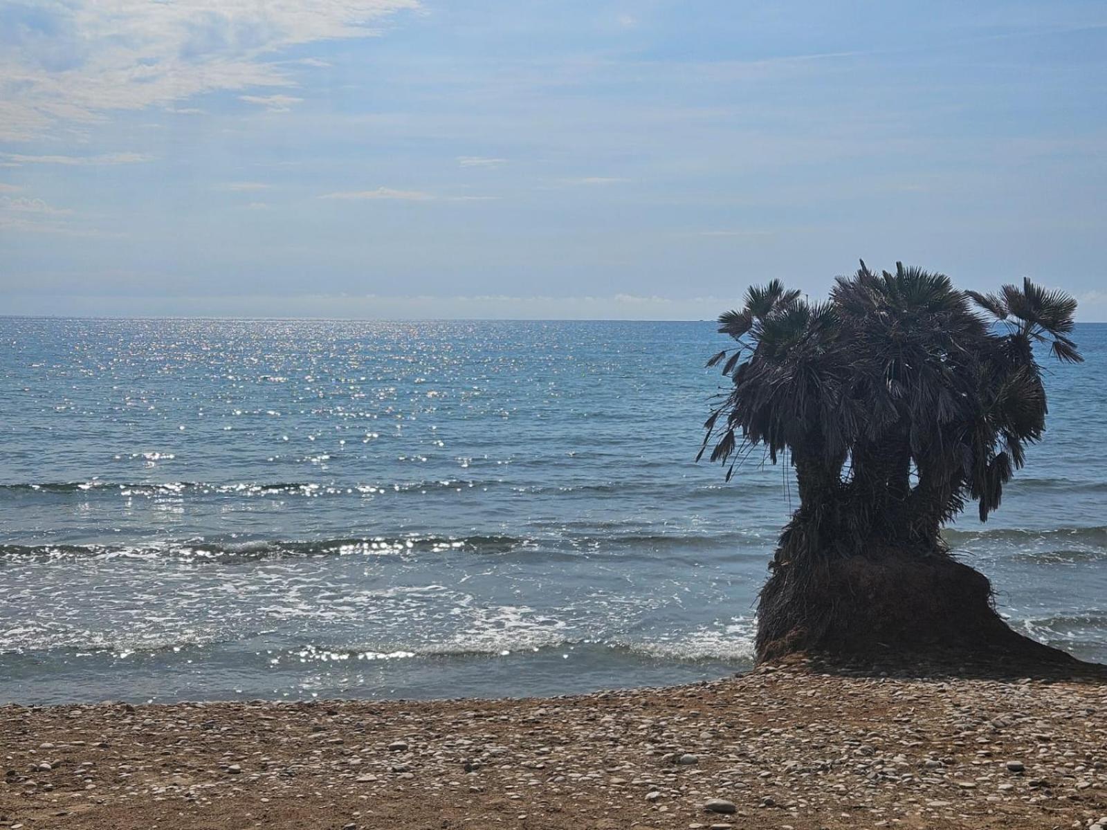 Mondrian Magic World - Sea View First Line Of The Beach Oropesa del Mar Dış mekan fotoğraf